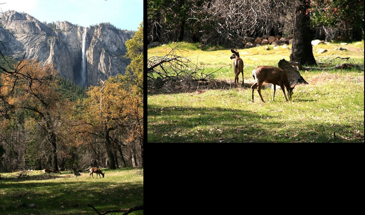 Yosemite, 28 vs 135