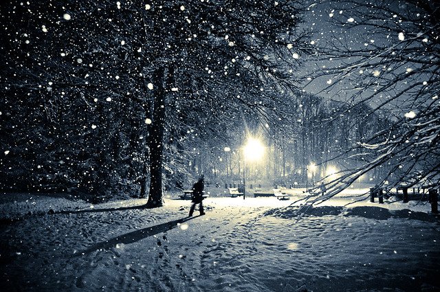 photograph of falling snow