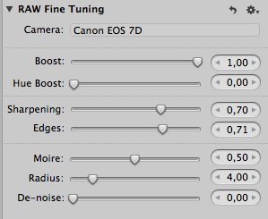 RAW Fine Tuning settings