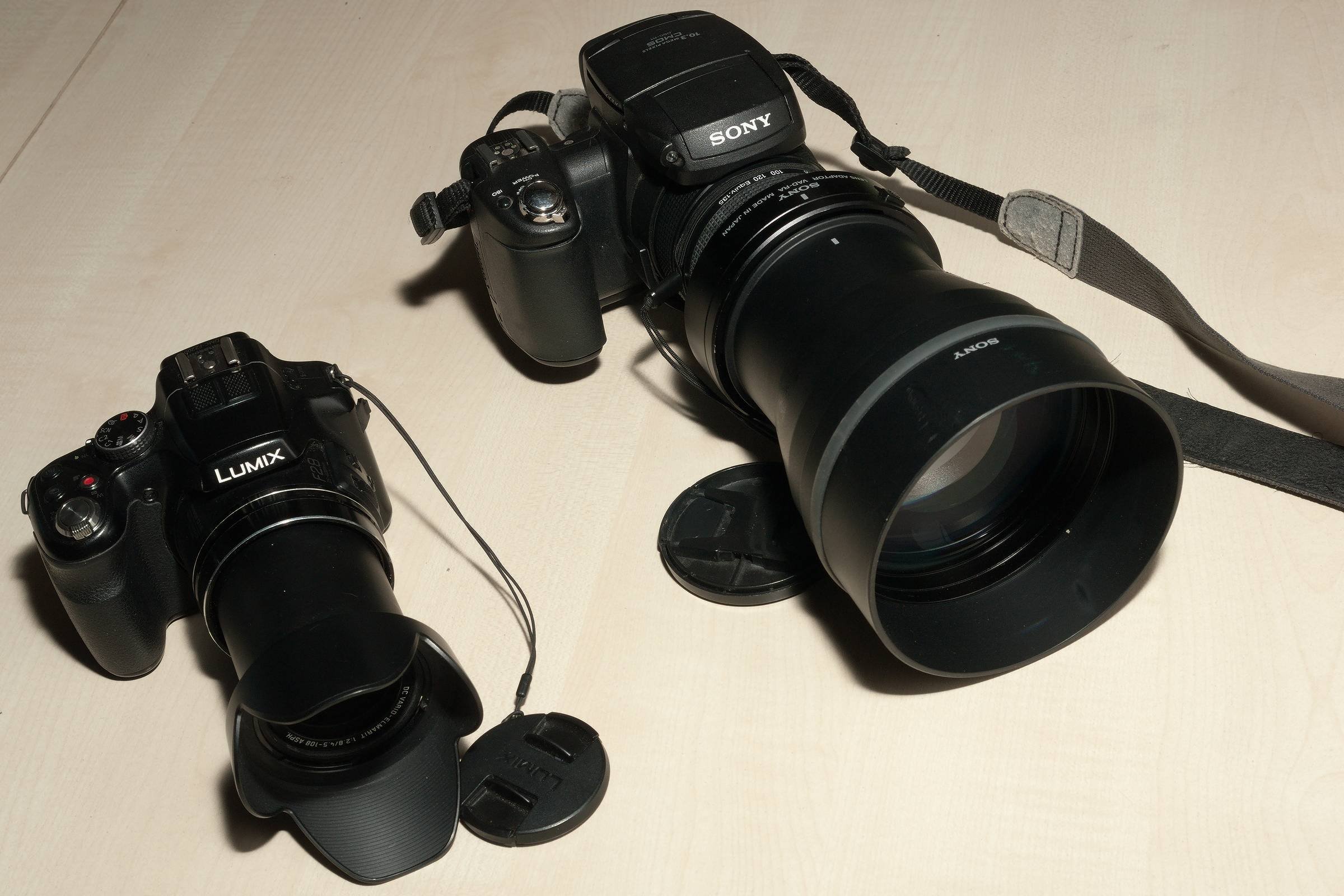 Panasonic DMC-FZ200 and Sony DSC-R1 at full zoom